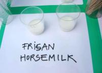 Village products: horsemilk from the farm in Wjelsryp